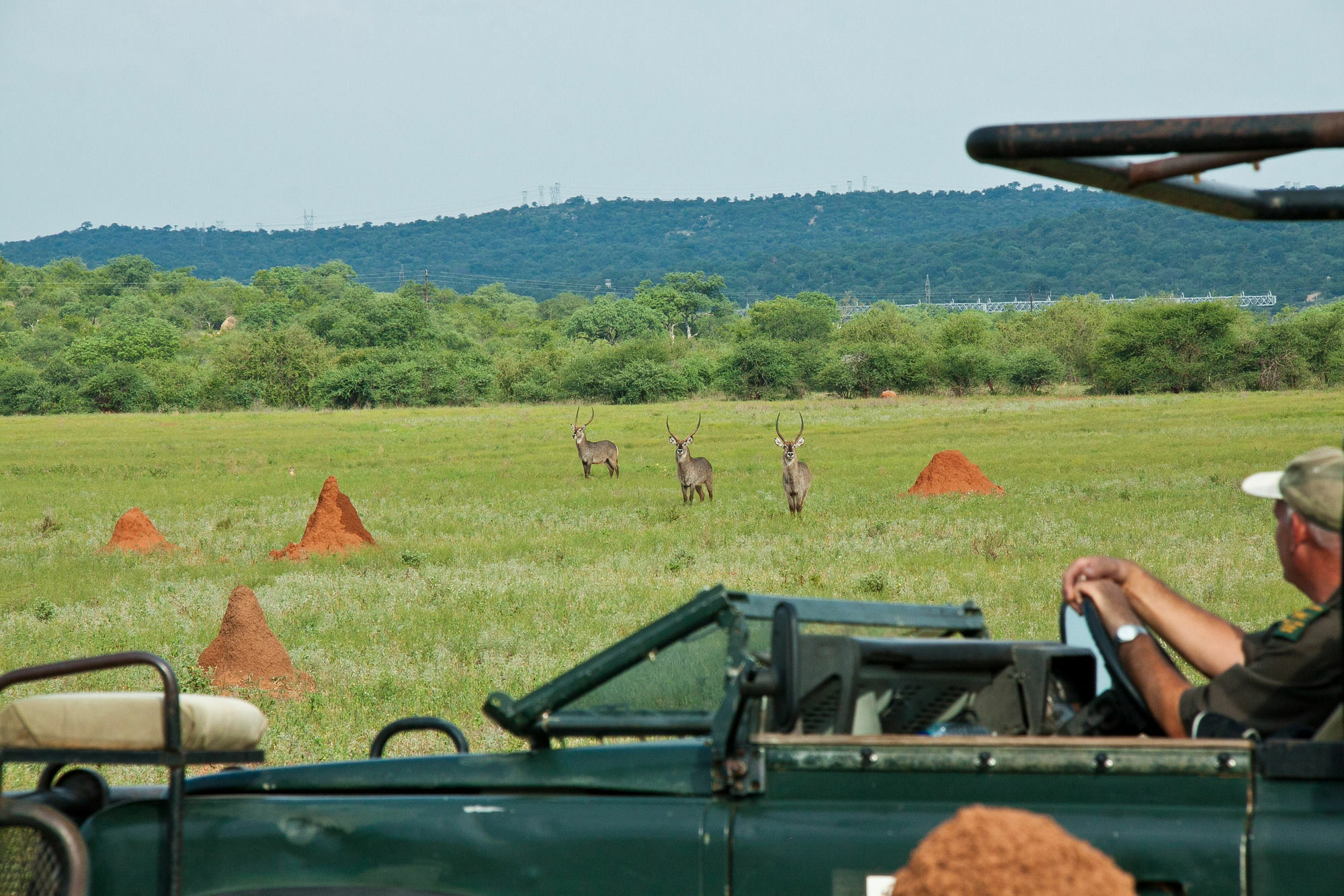 Casart Game Lodge Grietjie Game Reserve Kültér fotó